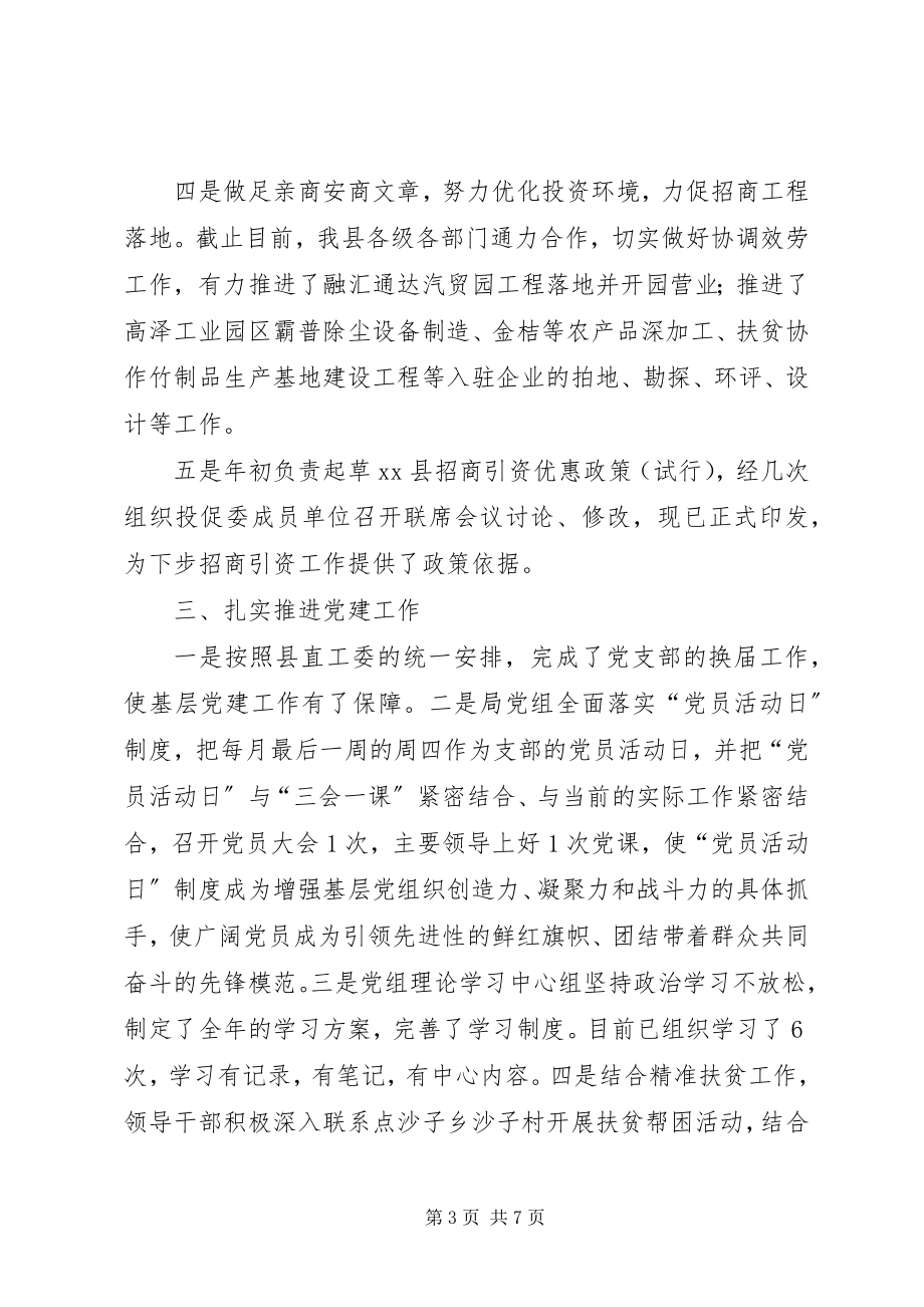 2023年县投资促进局工作总结及工作计划.docx_第3页