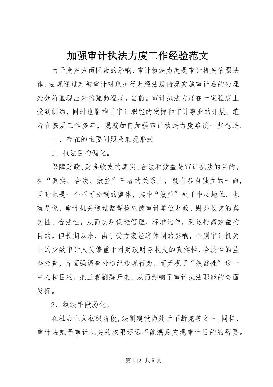 2023年加强审计执法力度工作经验.docx_第1页