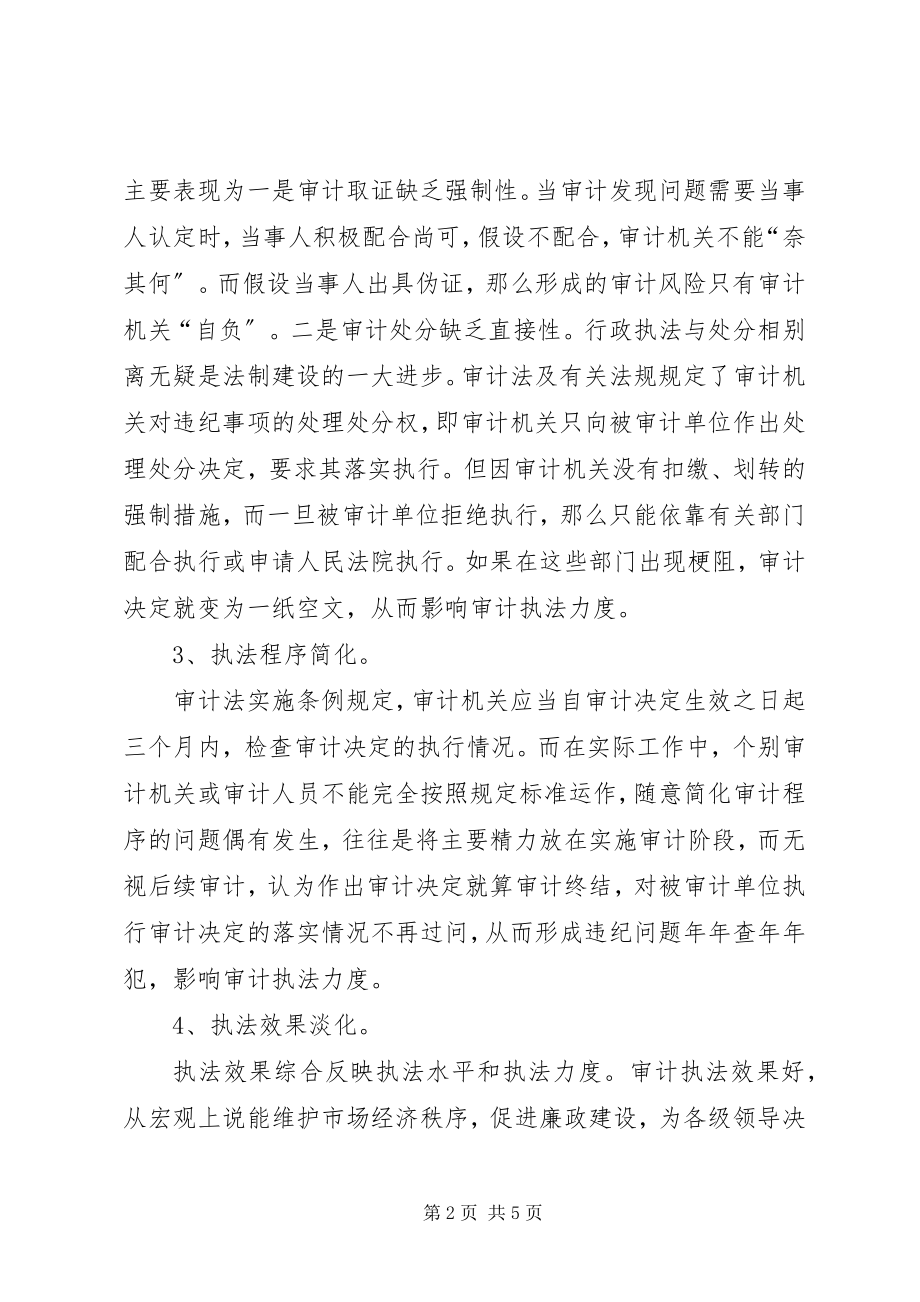 2023年加强审计执法力度工作经验.docx_第2页