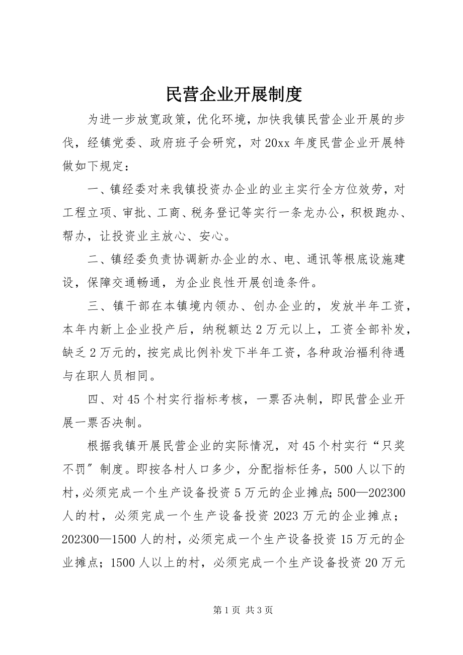 2023年民营企业发展制度.docx_第1页