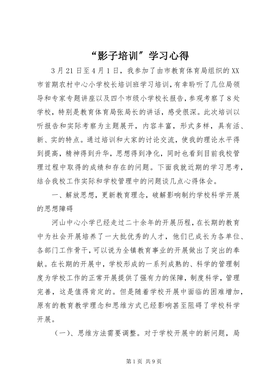 2023年影子培训学习心得.docx_第1页