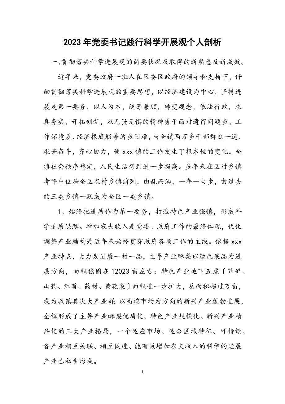 2023年党委书记践行科学发展观个人剖析.docx_第1页