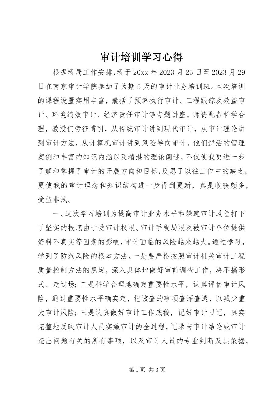 2023年审计培训学习心得.docx_第1页