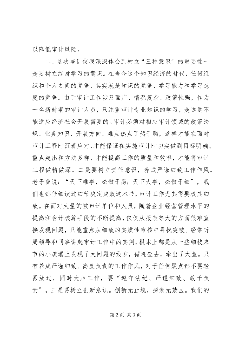 2023年审计培训学习心得.docx_第2页