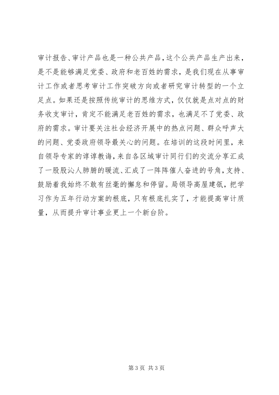 2023年审计培训学习心得.docx_第3页