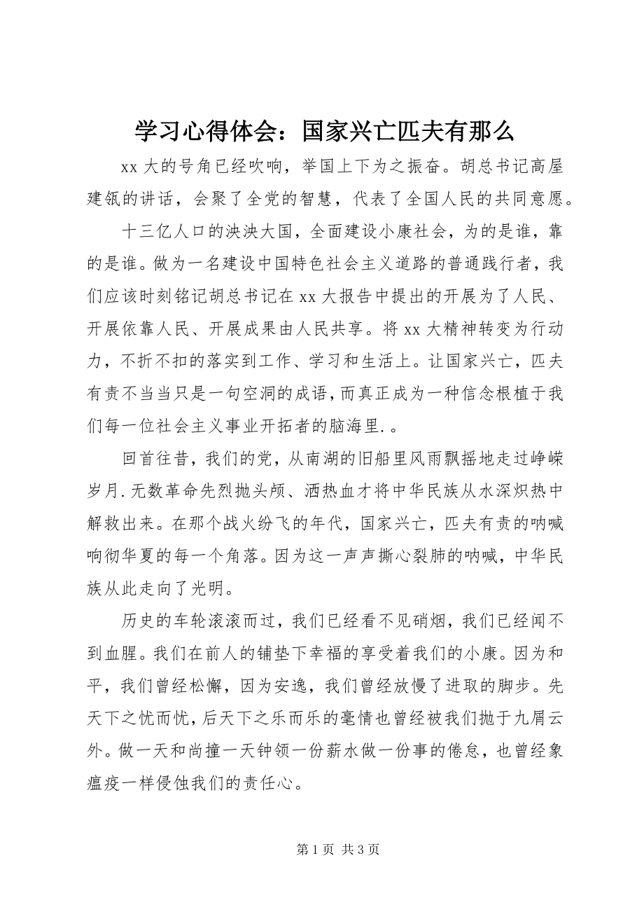 2023年学习心得体会国家兴亡匹夫有则2.docx_第1页