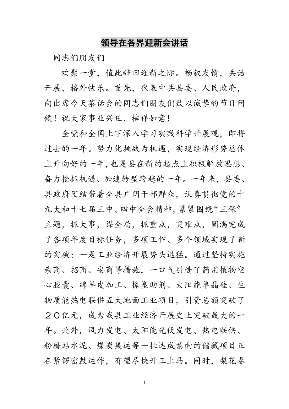 2023年领导在各界迎新会讲话范文.doc_第1页