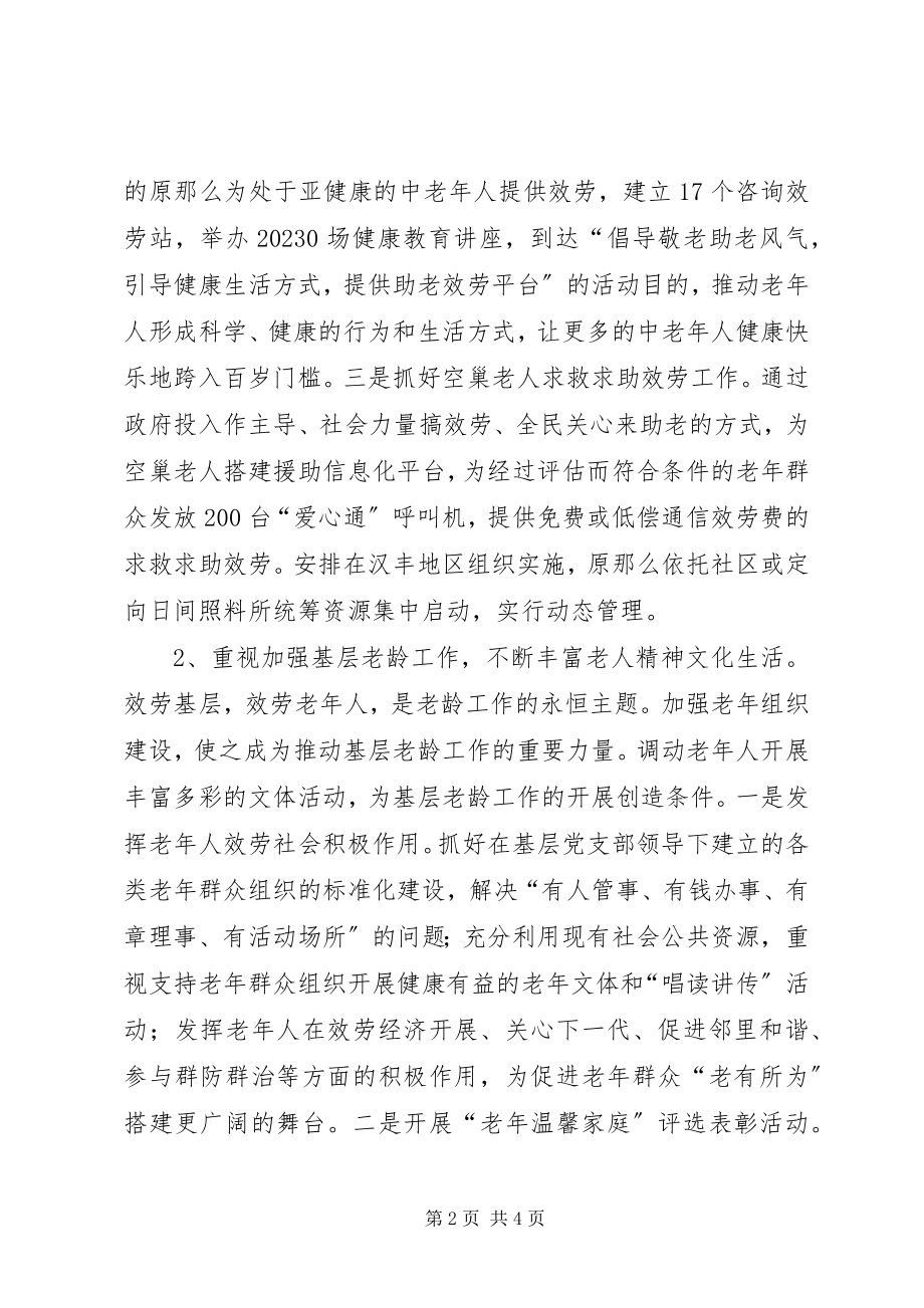 2023年县政府老龄工作计划.docx_第2页