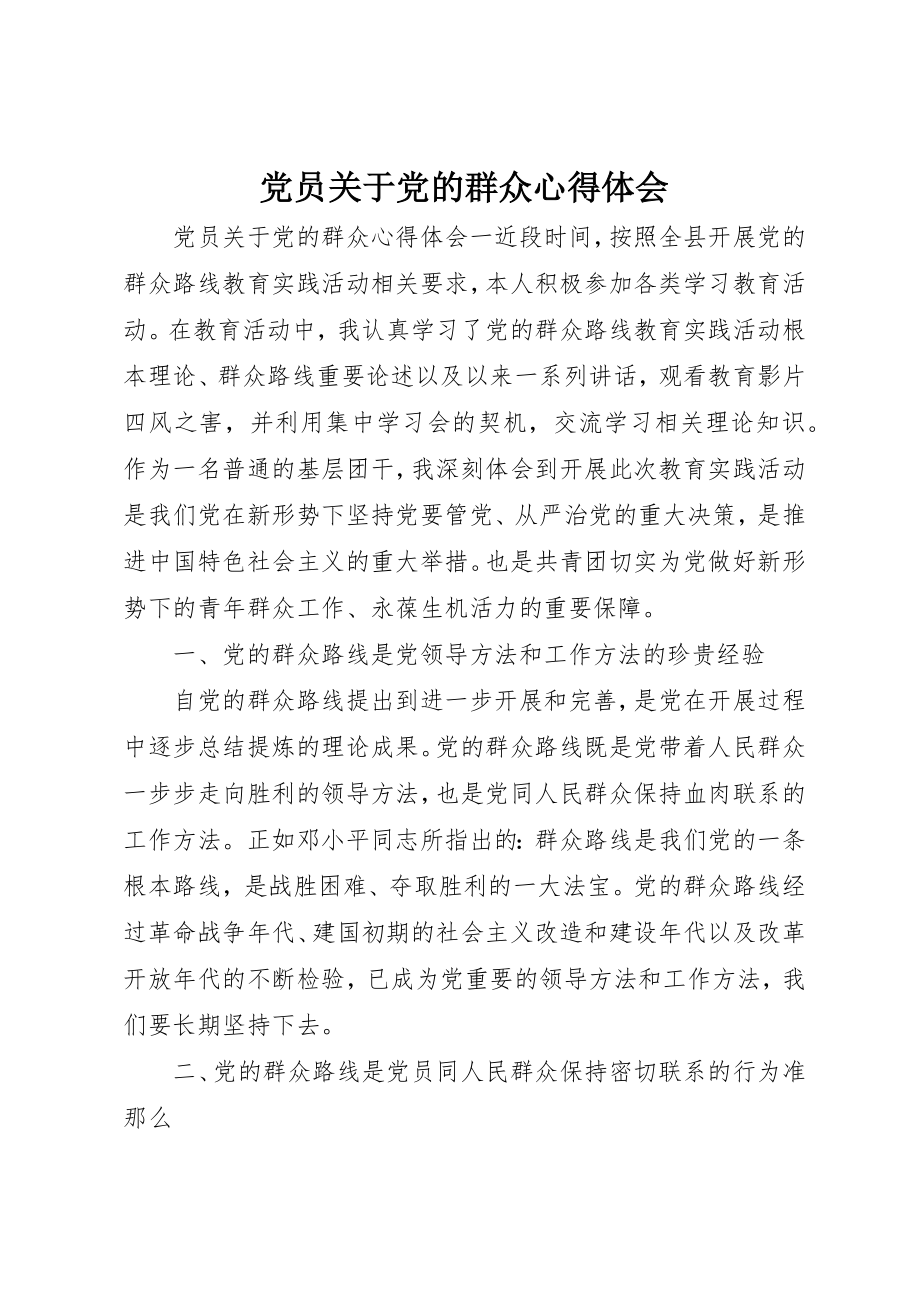 2023年党员党的群众心得体会.docx_第1页