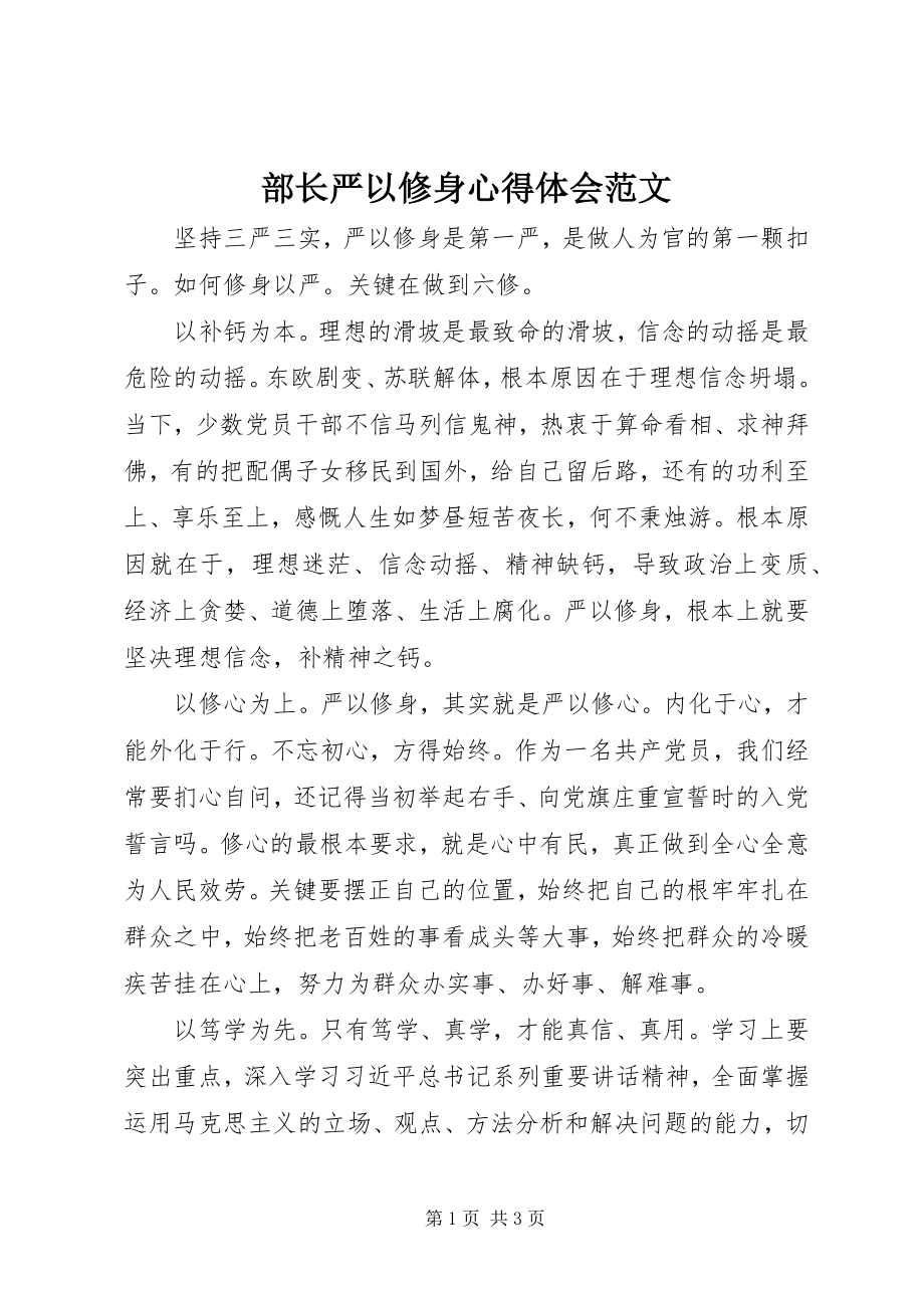 2023年部长严以修身心得体会.docx_第1页