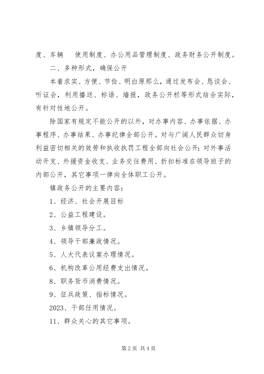 2023年乡镇政务公开总结.docx_第2页