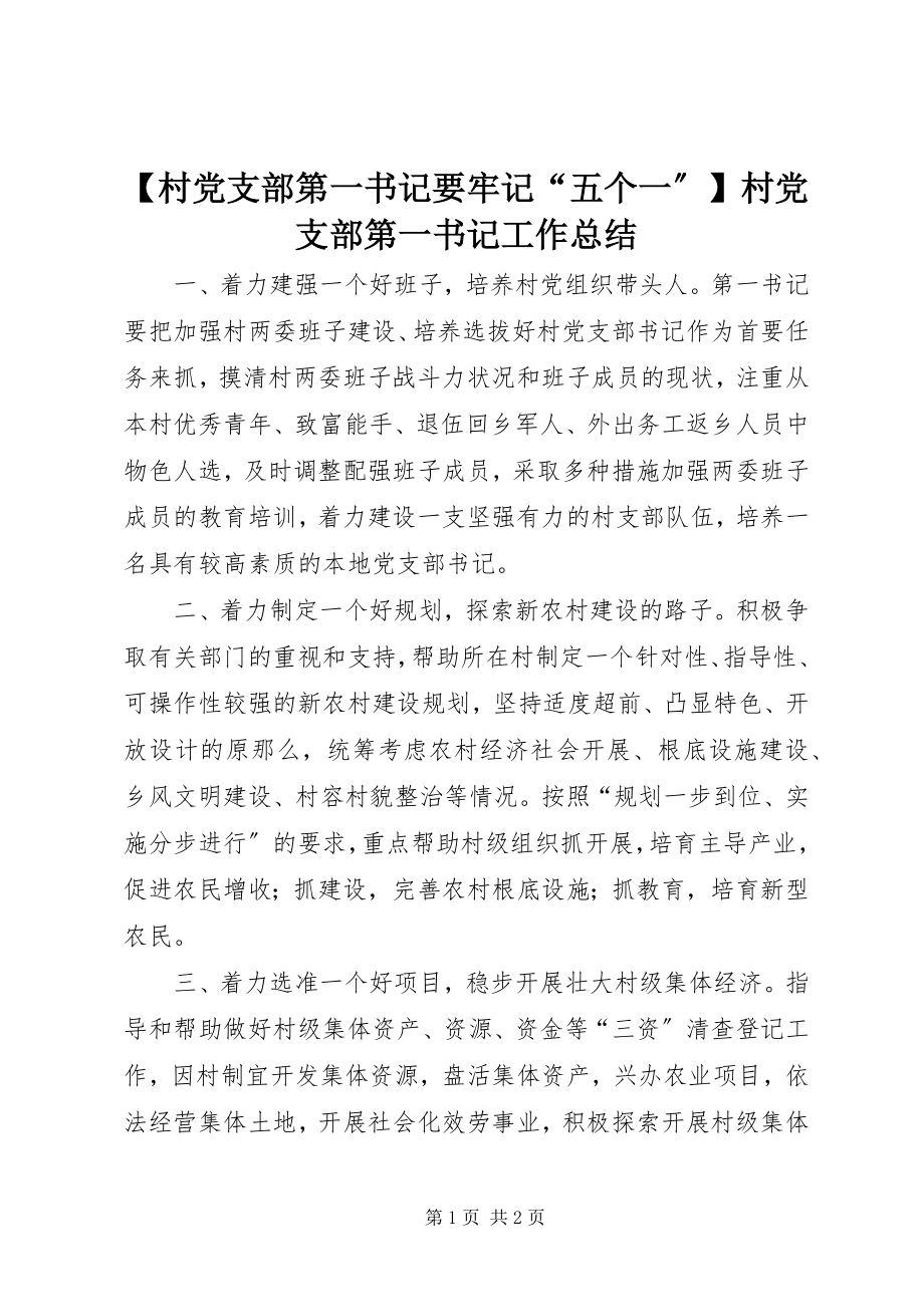 2023年村党支部第一书记要牢记五个一村党支部第一书记工作总结.docx_第1页