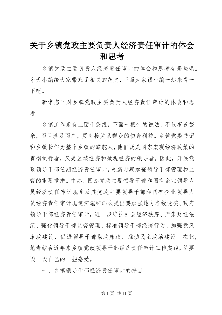 2023年乡镇党政主要负责人经济责任审计的体会和思考.docx_第1页