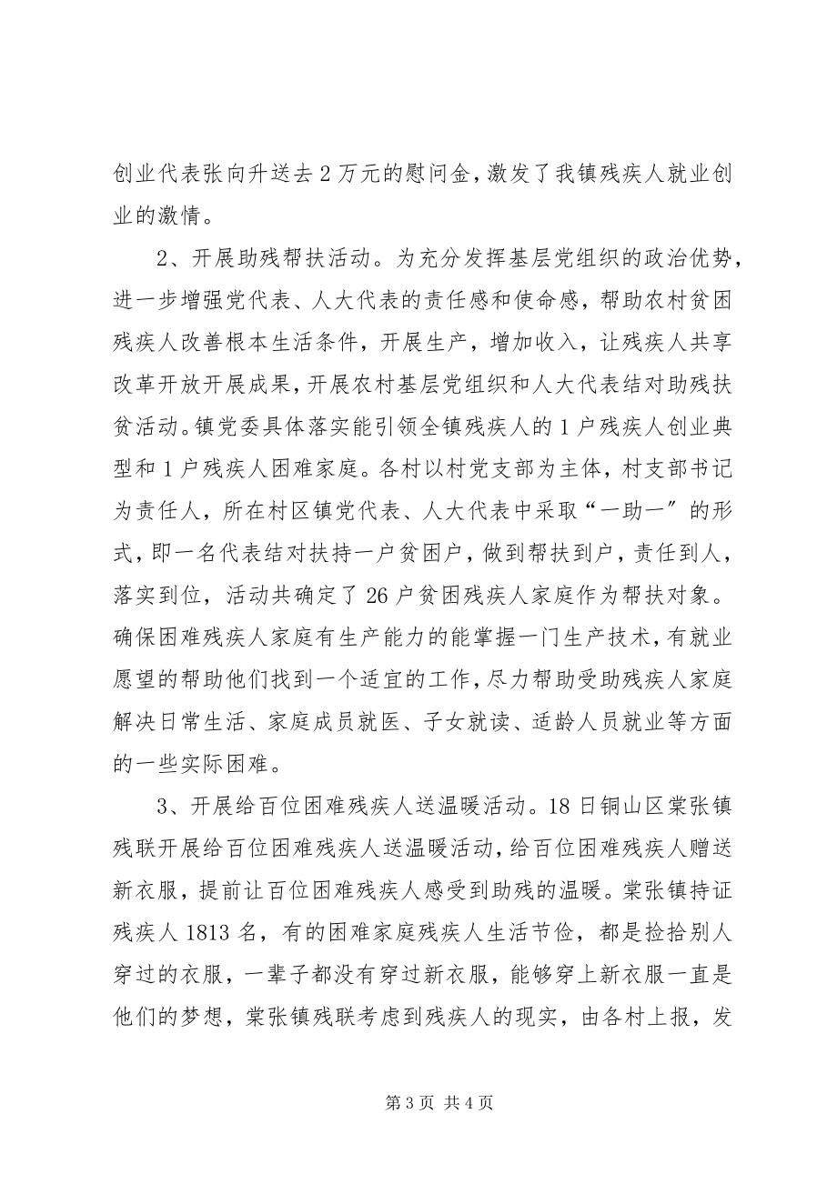 2023年乡镇助残日活动总结.docx_第3页