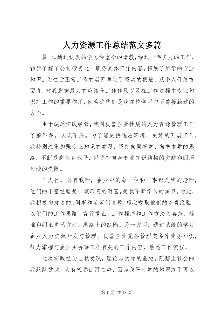 2023年人力资源工作总结多篇.docx_第1页