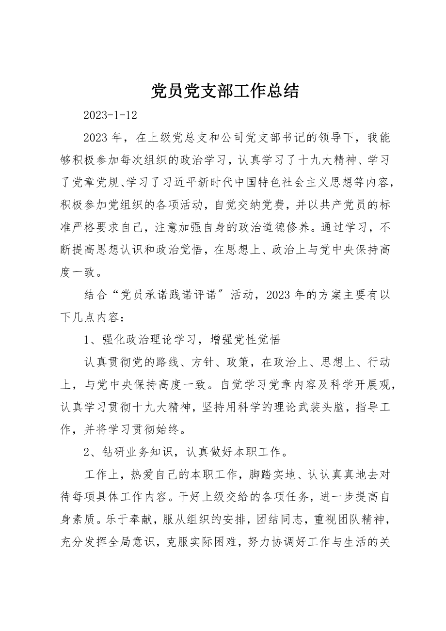 2023年党员党支部工作总结.docx_第1页