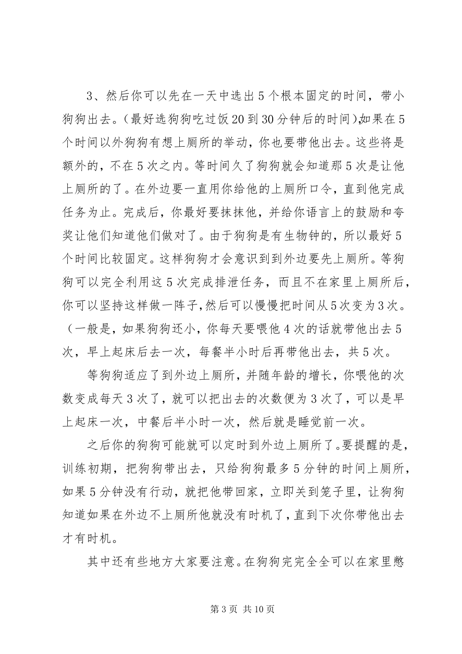 2023年多年的养狗经验.docx_第3页