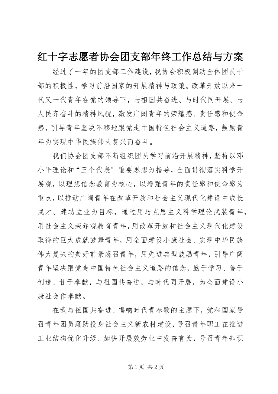 2023年红十字志愿者协会团支部终工作总结与计划.docx_第1页