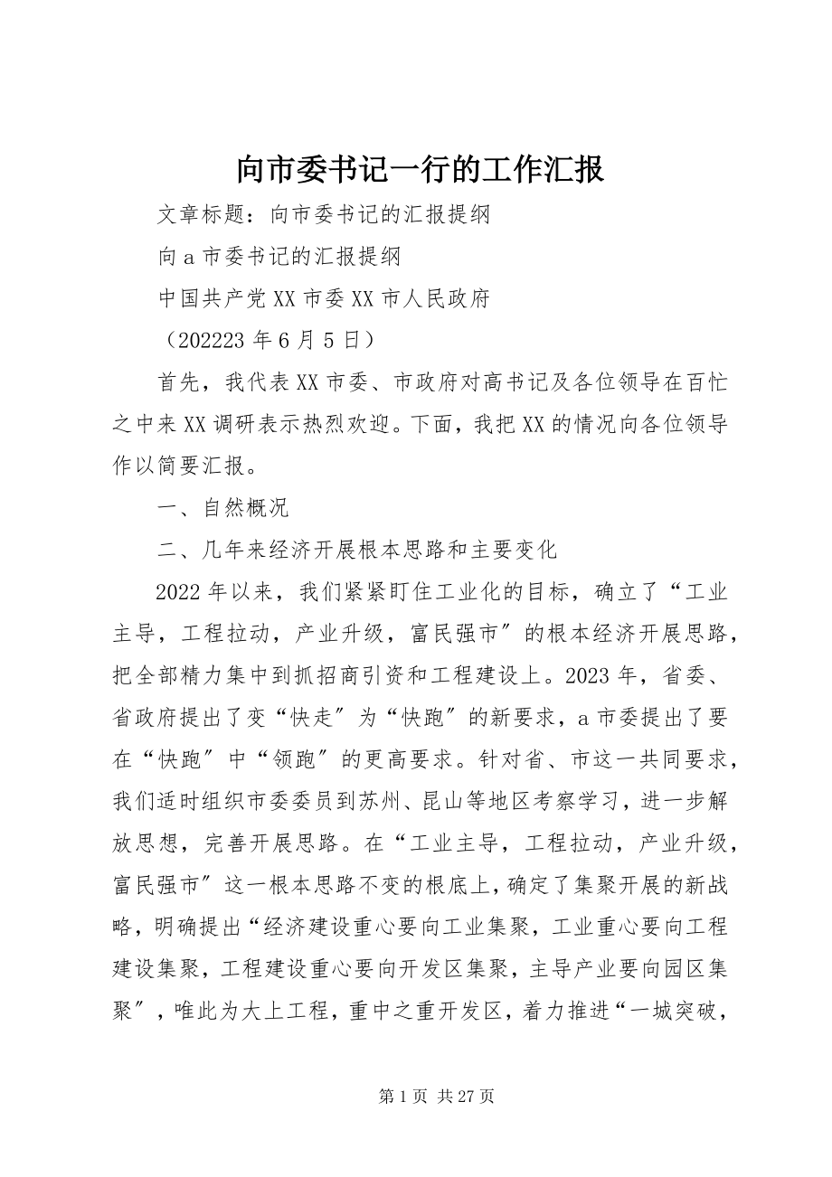 2023年向市委书记一行的工作汇报.docx_第1页