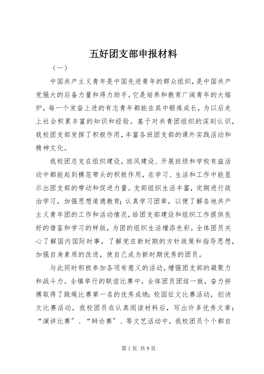 2023年五好团支部申报材料.docx_第1页