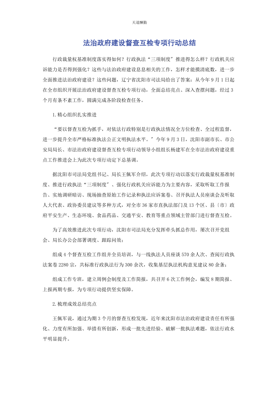 2023年法治政府建设督查互检专项行动总结范文.docx_第1页