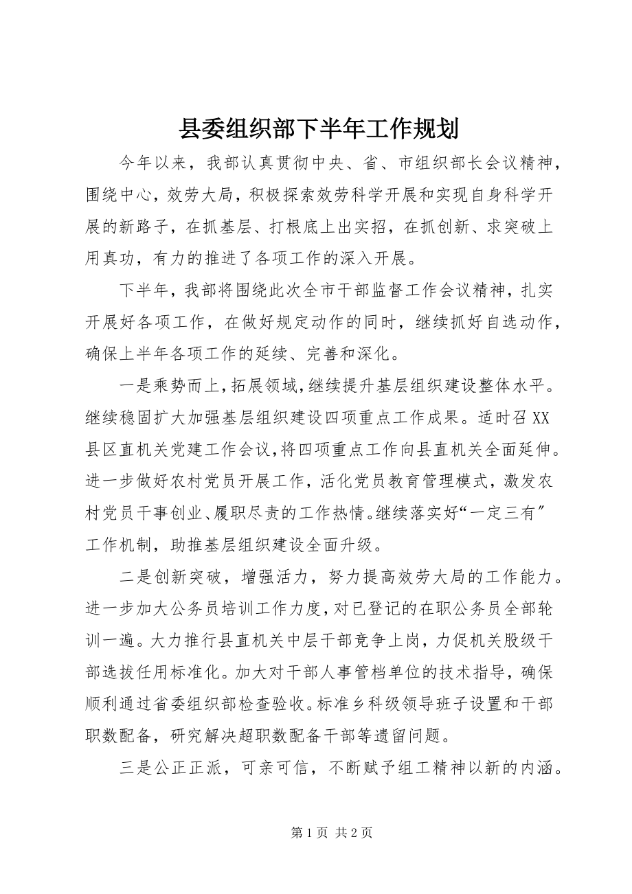 2023年县委组织部下半年工作规划.docx_第1页