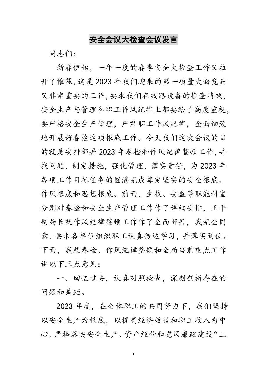 2023年安全会议大检查会议发言范文.doc_第1页