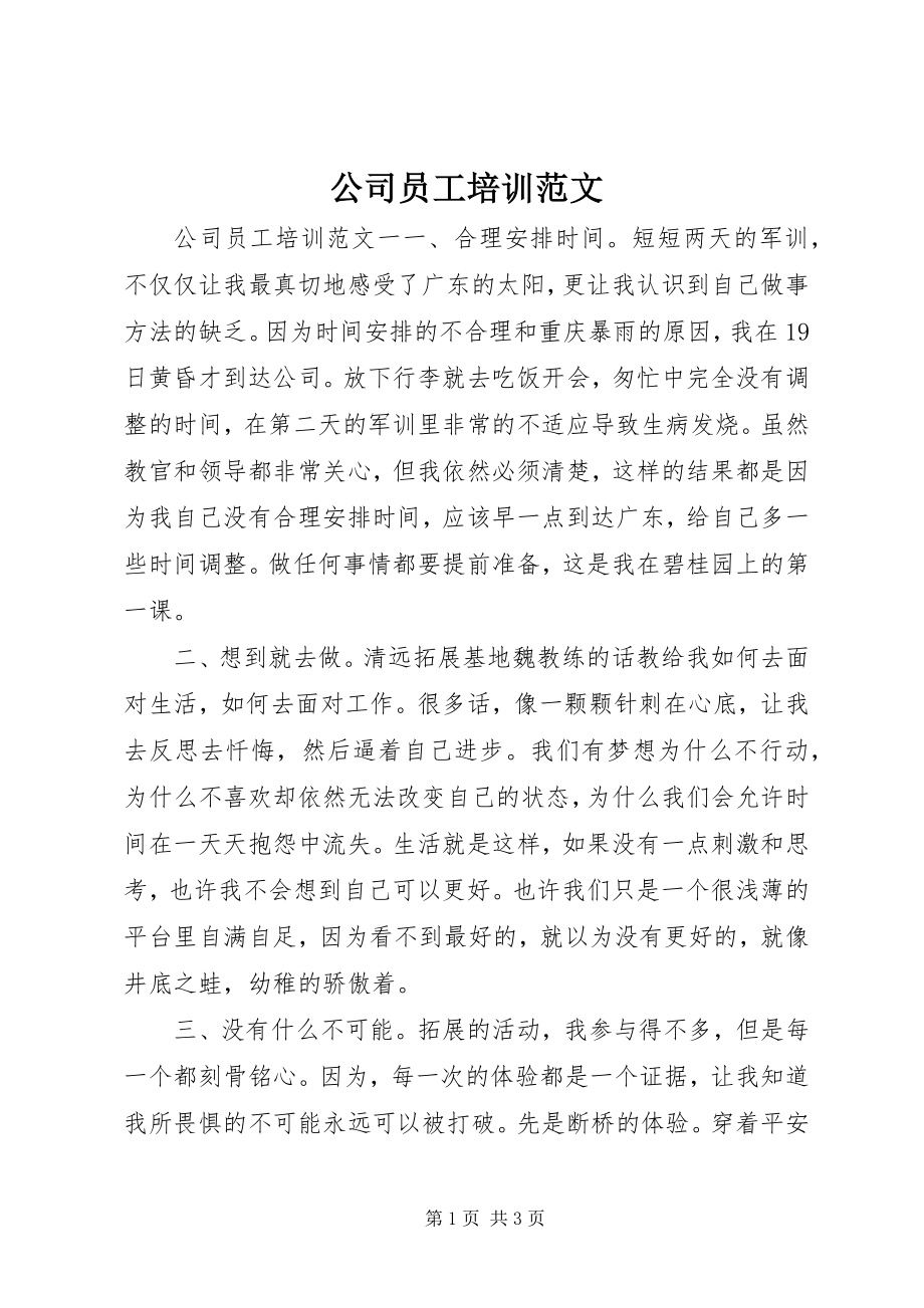 2023年公司员工培训.docx_第1页