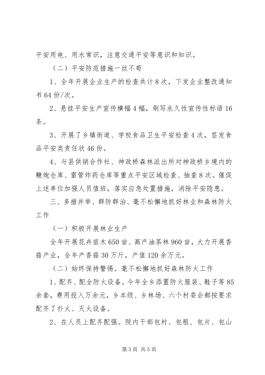 2023年乡镇领导个人工作总结.docx_第3页