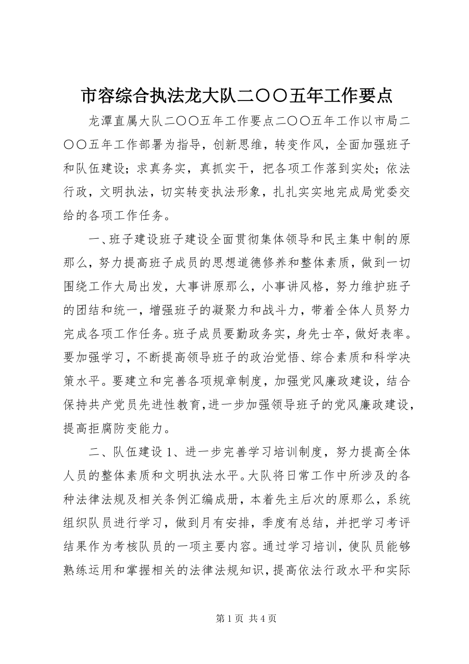 2023年市容综合执法龙大队二○○五年工作要点.docx_第1页