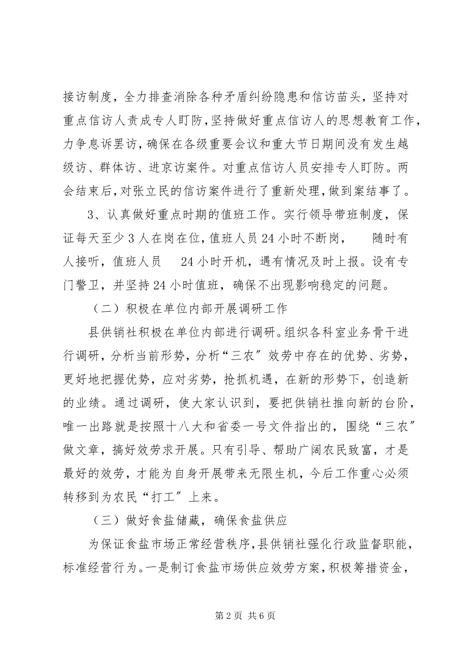 2023年供销社总结和计划.docx_第2页