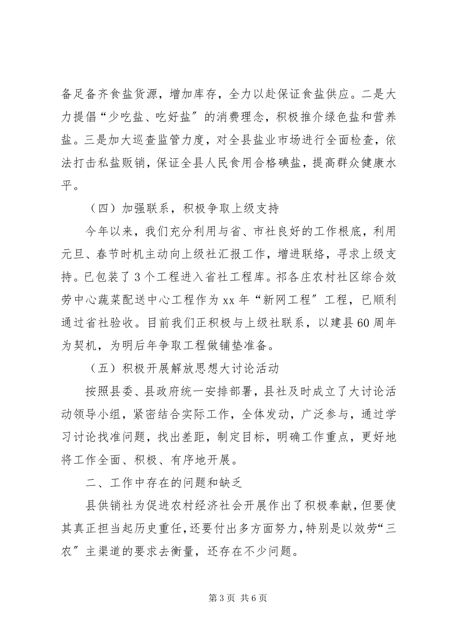 2023年供销社总结和计划.docx_第3页