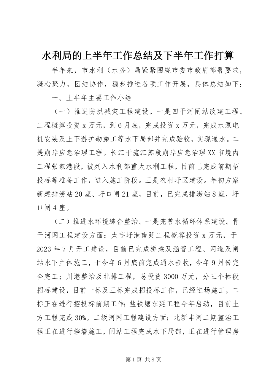 2023年水利局的上半年工作总结及下半年工作打算.docx_第1页