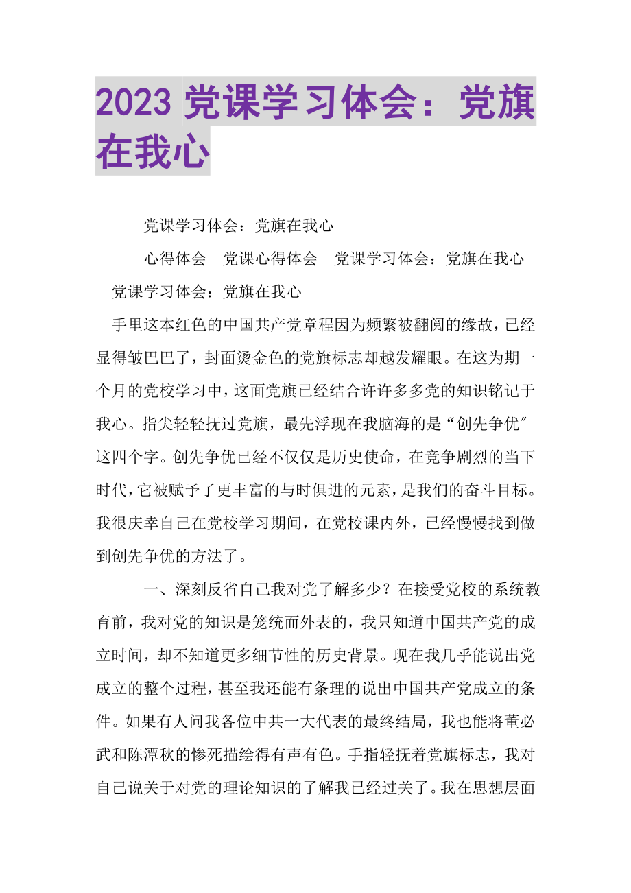 2023年党课学习体会党旗在我心2.doc_第1页