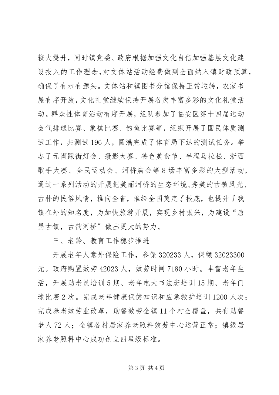 2023年社会事务办公室工作总结.docx_第3页