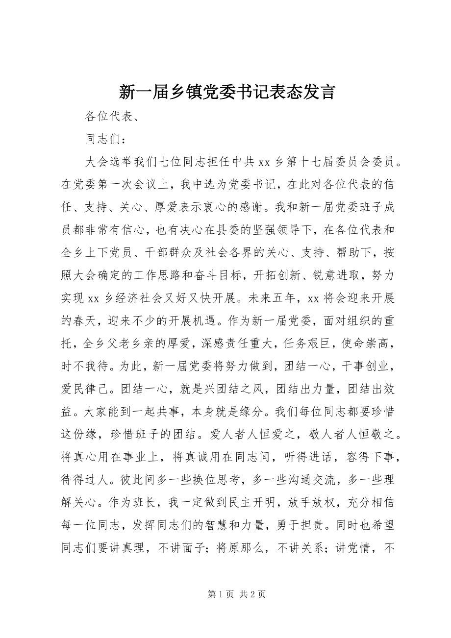 2023年新一届乡镇党委书记表态讲话.docx_第1页