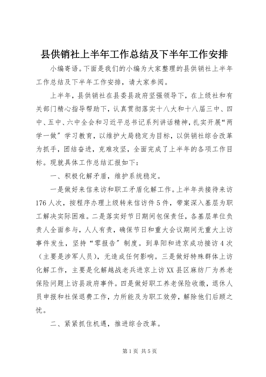 2023年县供销社上半年工作总结及下半年工作安排.docx_第1页