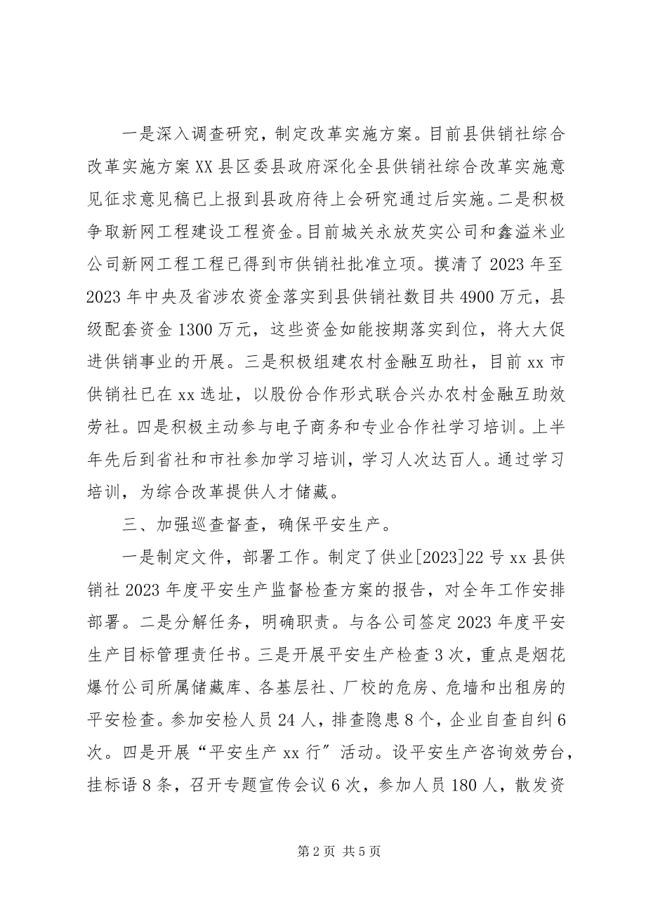 2023年县供销社上半年工作总结及下半年工作安排.docx_第2页