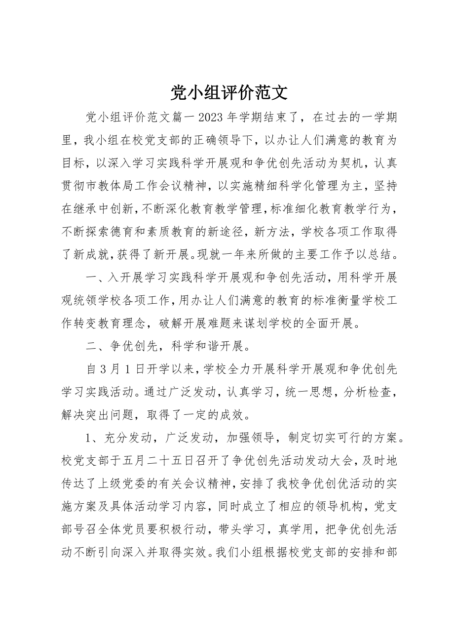 2023年党小组评价.docx_第1页