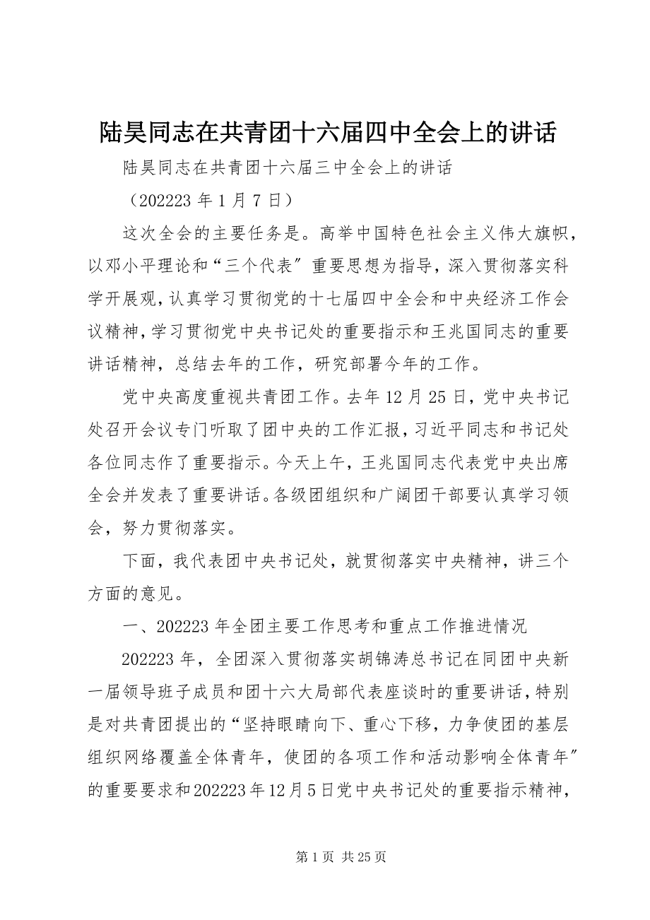 2023年陆昊同志在共青团十六届四中全会上的致辞.docx_第1页