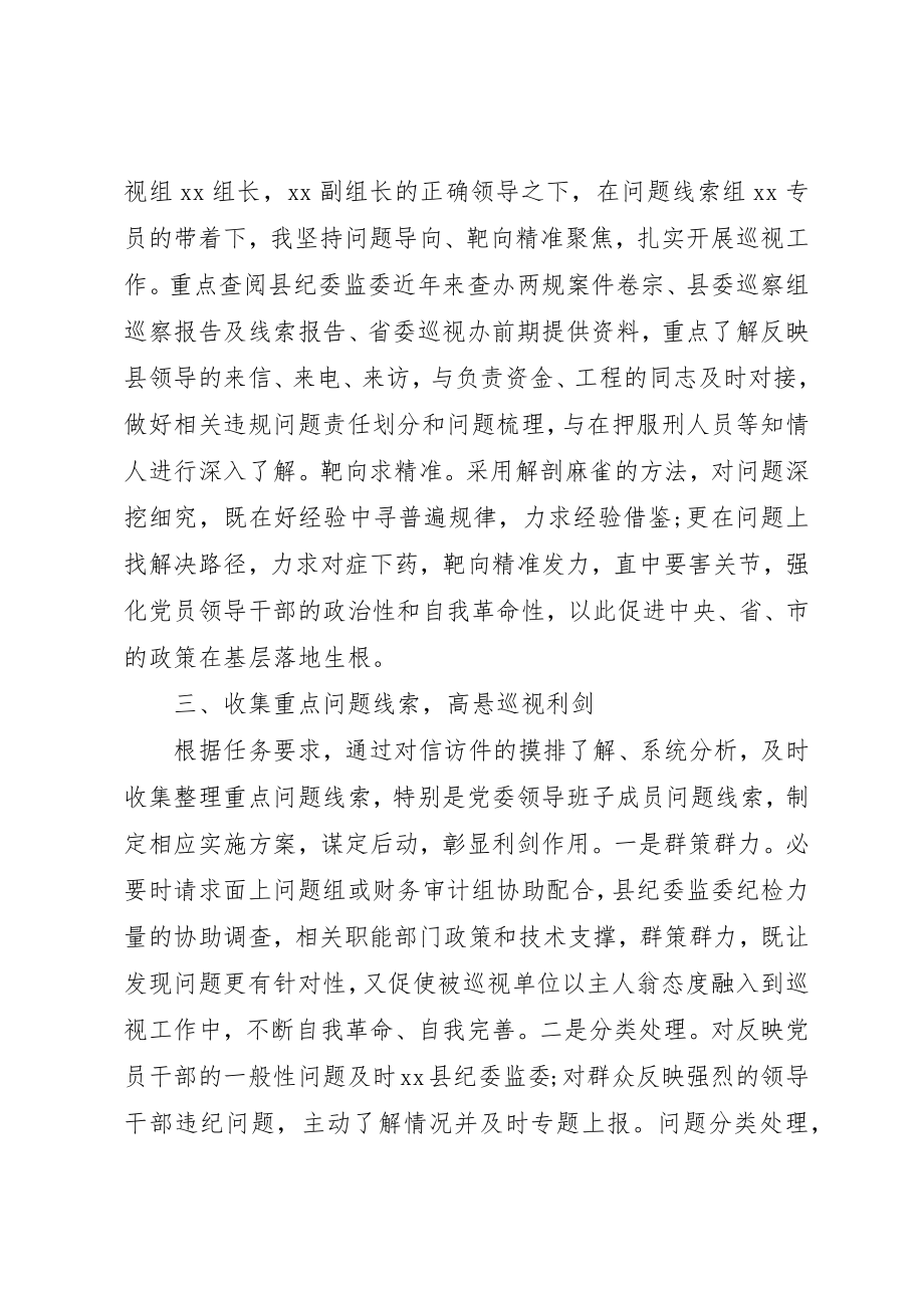 2023年抽调巡视巡察期间个人工作总结新编.docx_第2页