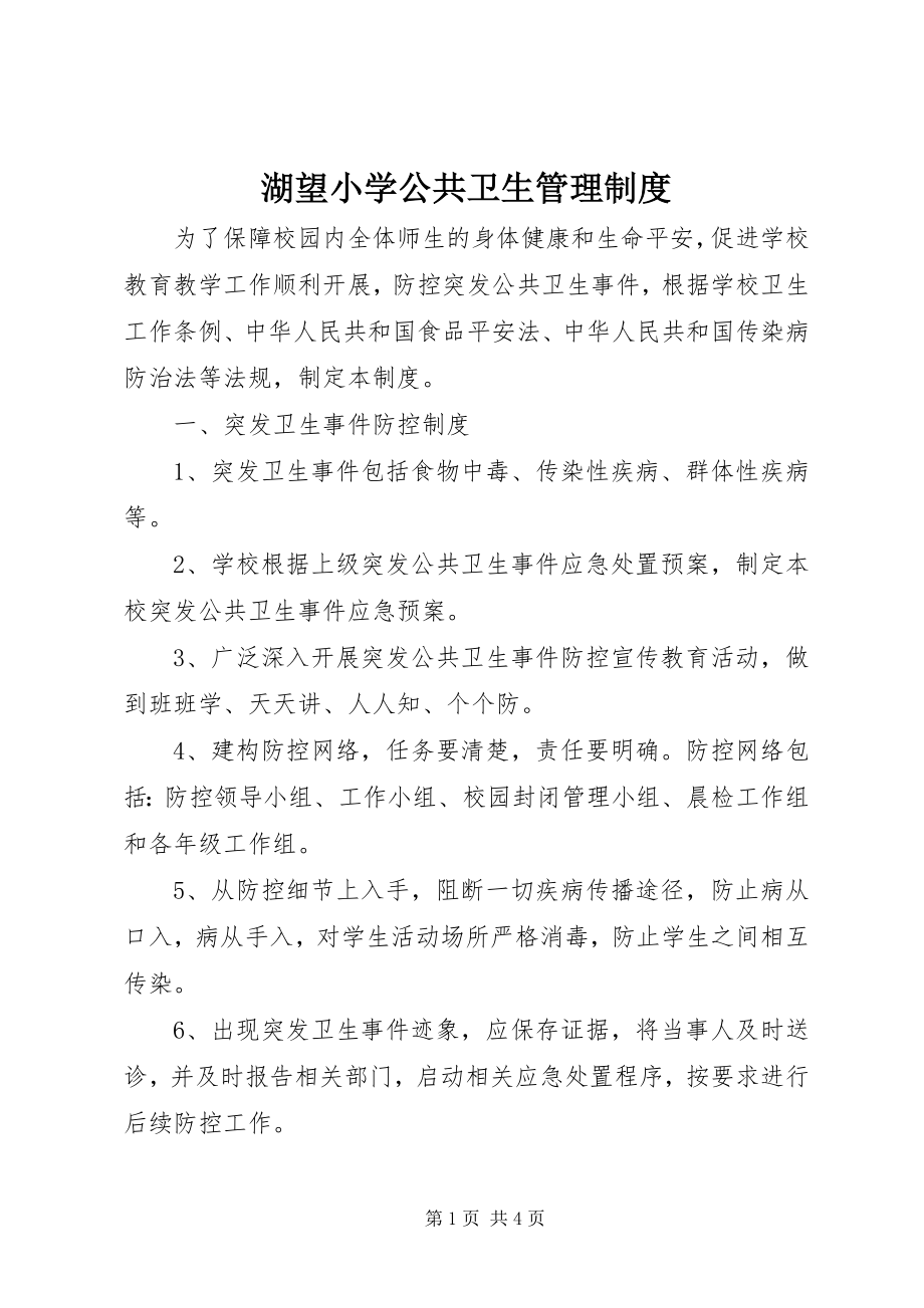 2023年湖望小学公共卫生管理制度.docx_第1页