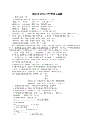 2023年沈阳市中考语文试卷及答案.docx