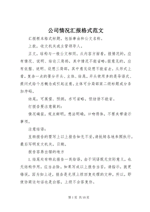 2023年公司情况汇报格式.docx