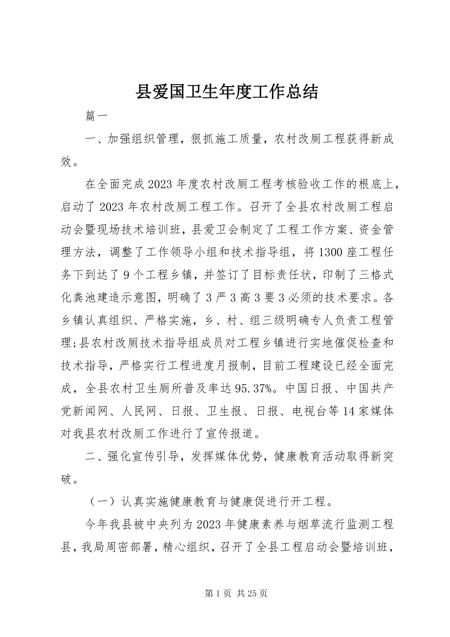 2023年县爱国卫生年度工作总结.docx_第1页