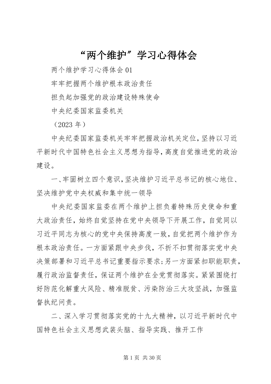 2023年“两个维护”学习心得体会新编.docx_第1页