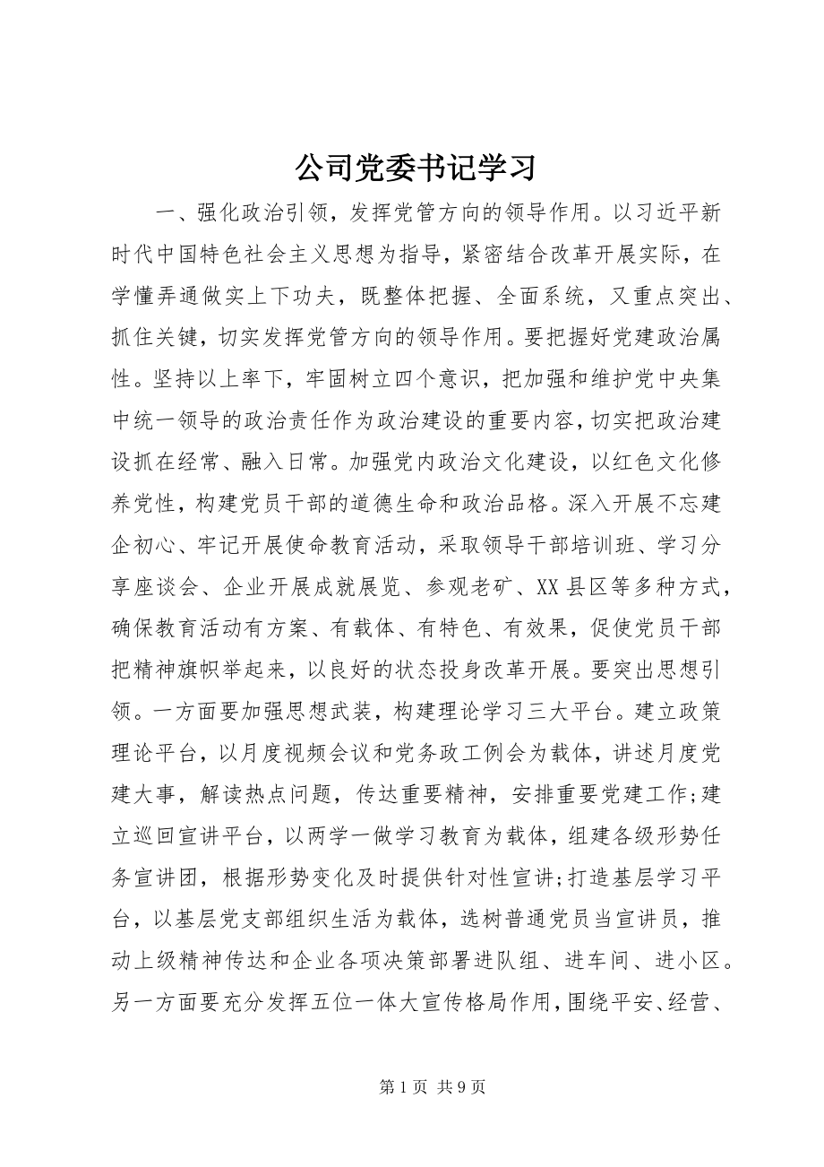 2023年公司党委书记学习.docx_第1页