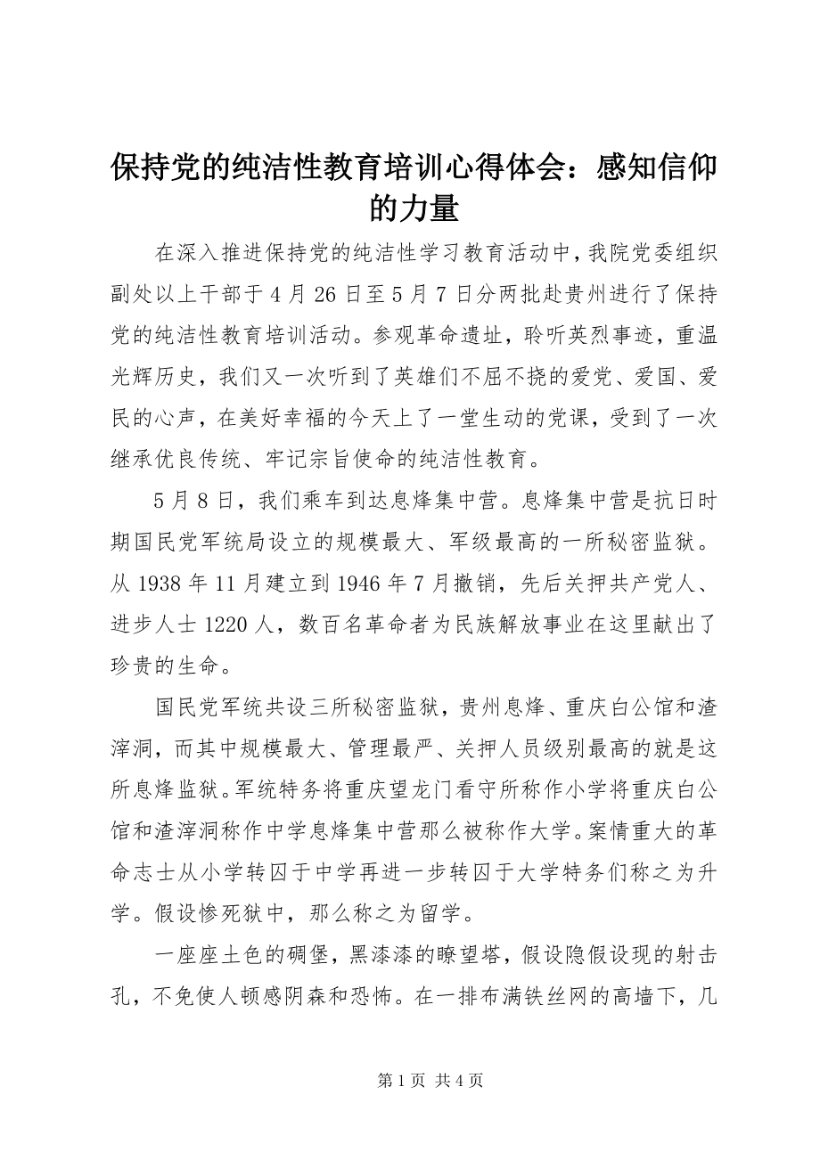 2023年保持党的纯洁性教育培训心得体会感知信仰的力量新编.docx_第1页