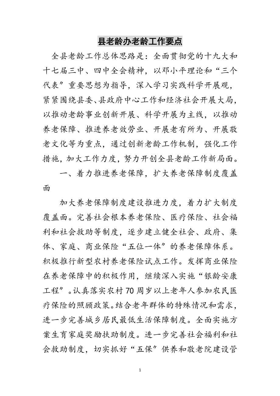 2023年县老龄办老龄工作要点范文.doc_第1页