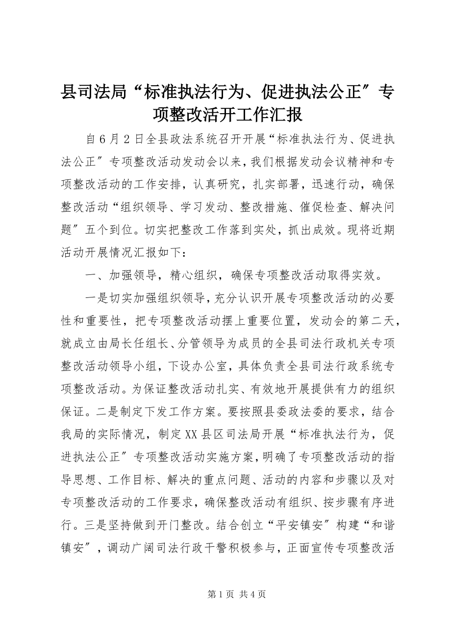 2023年县司法局“规范执法行为促进执法公正”专项整改活动工作汇报.docx_第1页